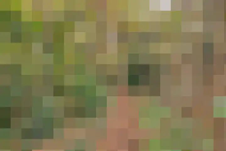 Dijkshornhof 9 Tilburg thumbnail 4