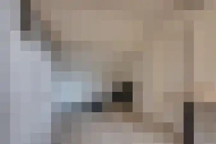 Dijkshornhof 9 Tilburg thumbnail 40