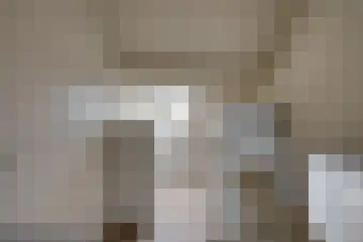 Dijkshornhof 9 Tilburg thumbnail 43