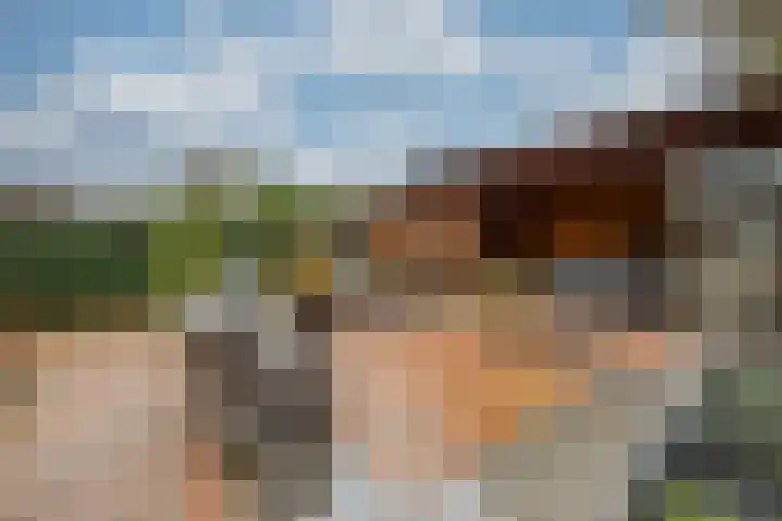 Dijkshornhof 9 Tilburg thumbnail 45