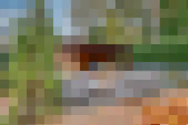 Dijkshornhof 9 Tilburg thumbnail 46