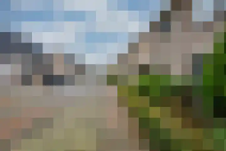 Dijkshornhof 9 Tilburg thumbnail 5