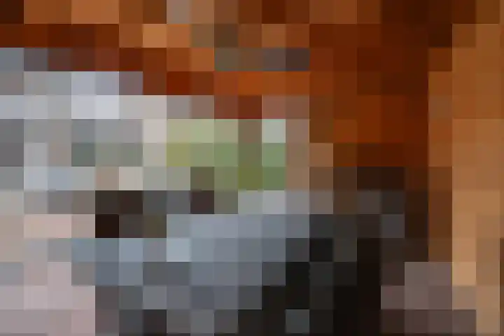 Dijkshornhof 9 Tilburg thumbnail 51