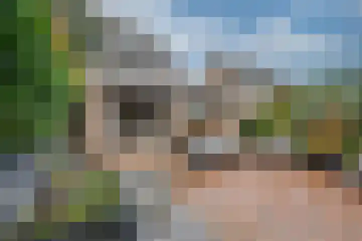 Dijkshornhof 9 Tilburg thumbnail 52