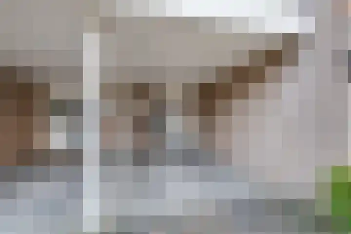 Dijkshornhof 9 Tilburg thumbnail 6