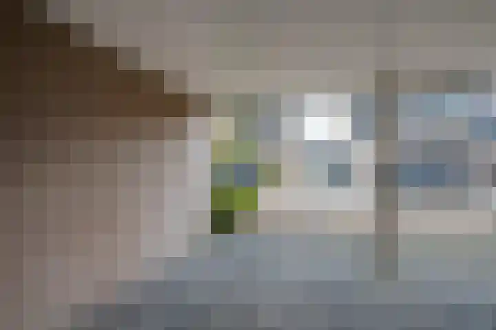 Dijkshornhof 9 Tilburg thumbnail 7