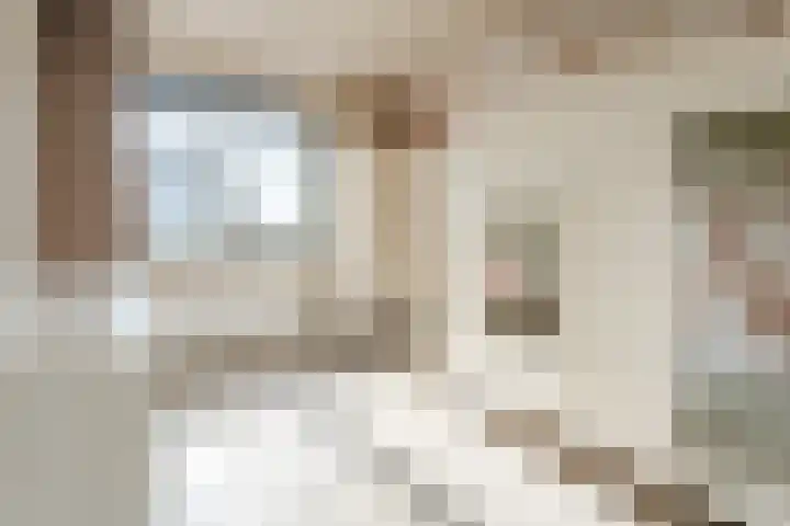 Dijkskruin 13 Cuijk thumbnail 20