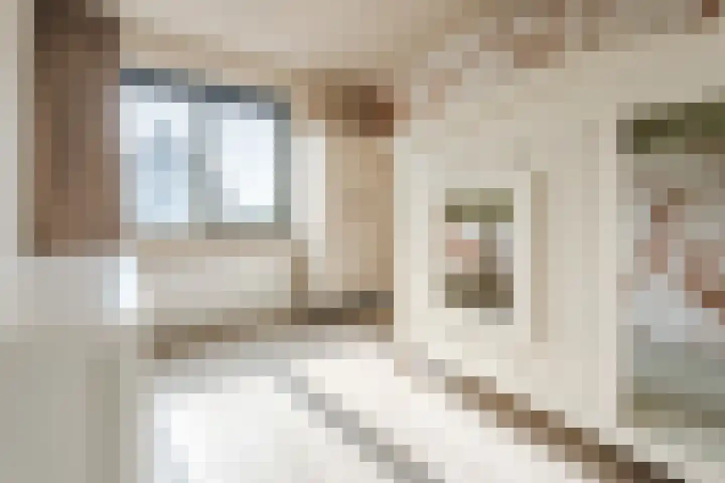 Dijkskruin 13 Cuijk thumbnail 20