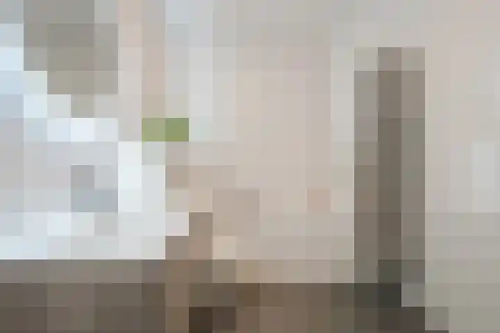 Dijkskruin 13 Cuijk thumbnail 23