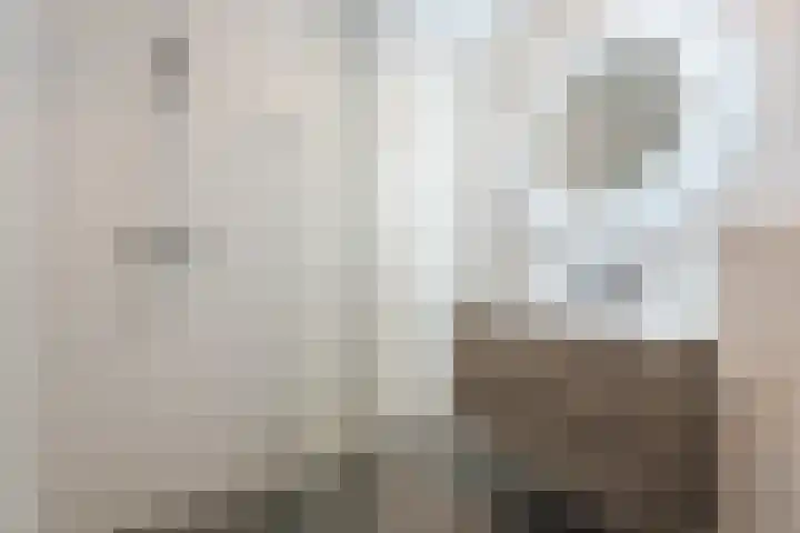 Dijkskruin 13 Cuijk thumbnail 24