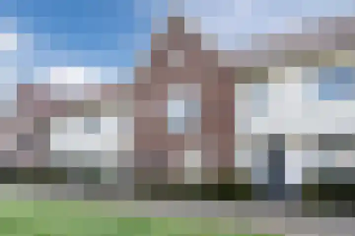 Dijkskruin 13 Cuijk thumbnail 6