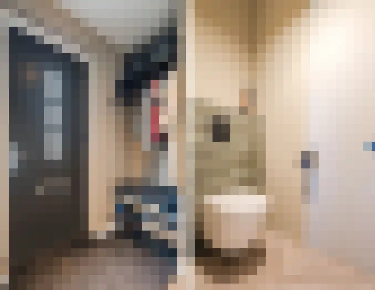 Dijkskruin 13 Cuijk thumbnail 7