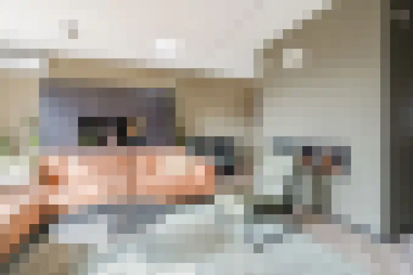 Dijkskruin 13 Cuijk thumbnail 9