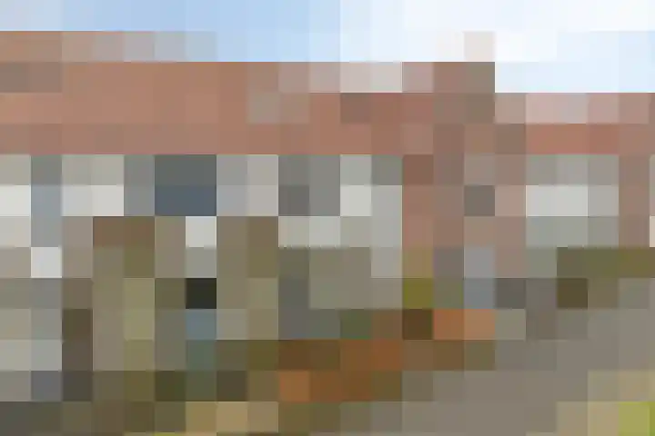 Dijkskruin 5 Cuijk thumbnail 10