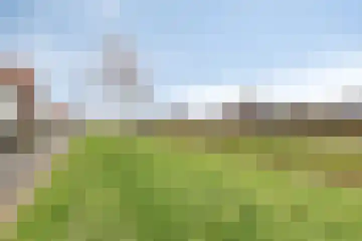 Dijkskruin 5 Cuijk thumbnail 11