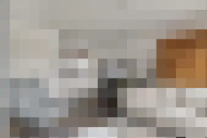 Dijkskruin 5 Cuijk thumbnail 18