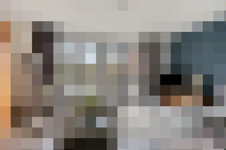Dijkskruin 5 Cuijk foto 2