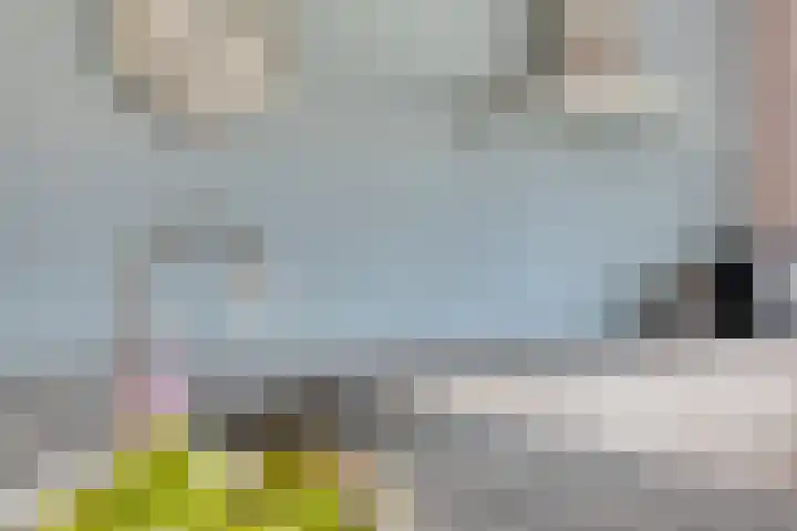 Dijkskruin 5 Cuijk thumbnail 24