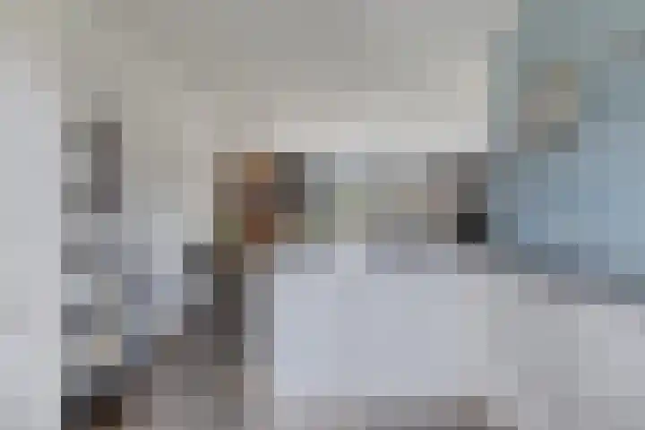 Dijkskruin 5 Cuijk thumbnail 26