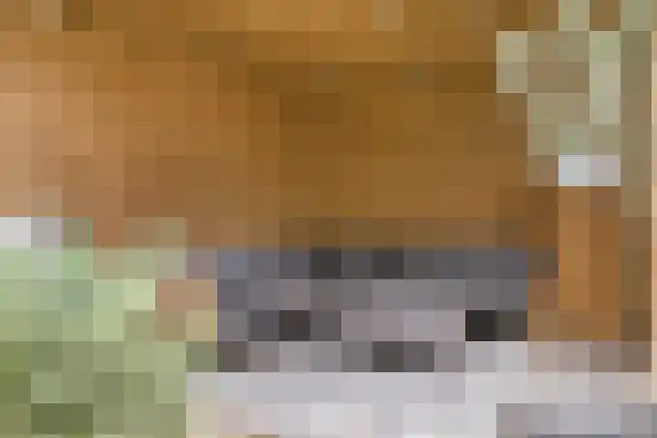 Dijkskruin 5 Cuijk thumbnail 46