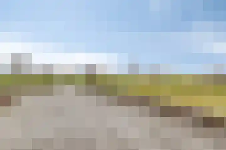 Dijkskruin 5 Cuijk thumbnail 47