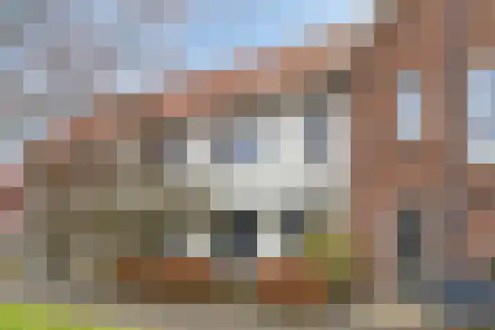 Dijkskruin 5 Cuijk thumbnail 7