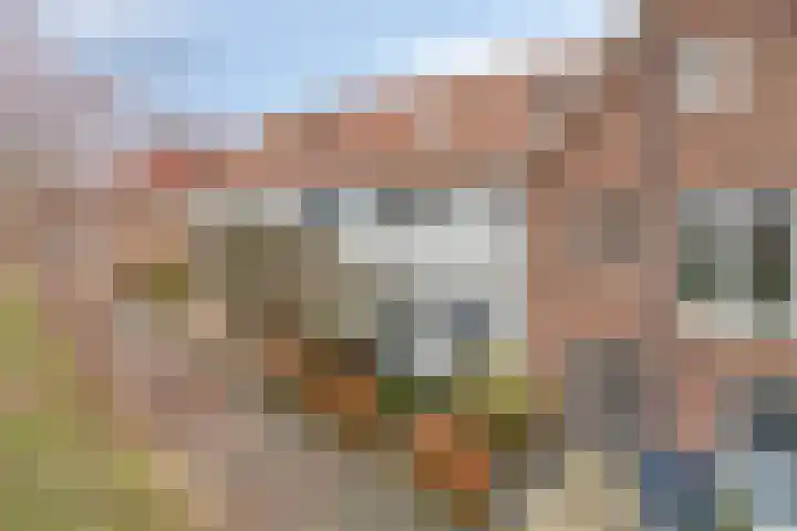 Dijkskruin 5 Cuijk thumbnail 8