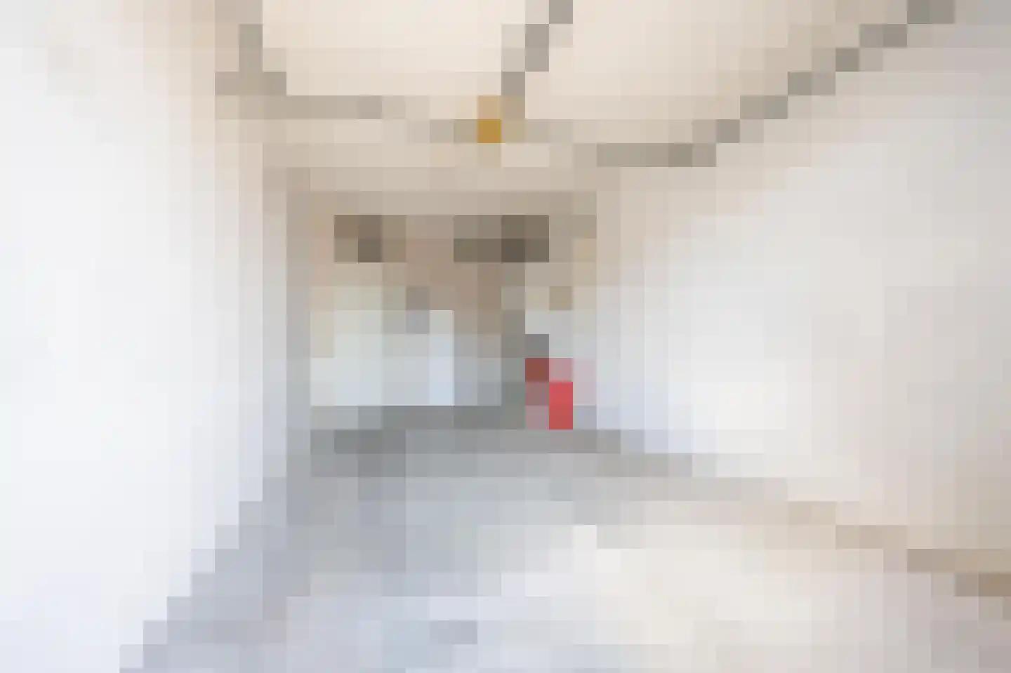 Dijkslag 10 Lopik thumbnail 10