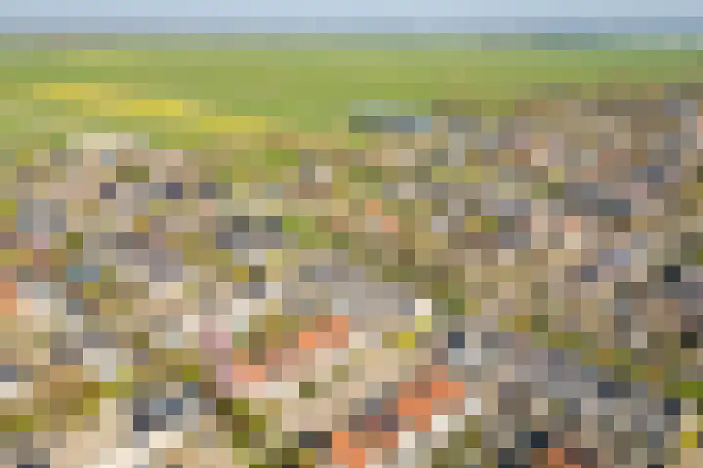Dijkslag 10 Lopik thumbnail 25