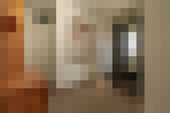 Dijkslag 10 Lopik foto 3