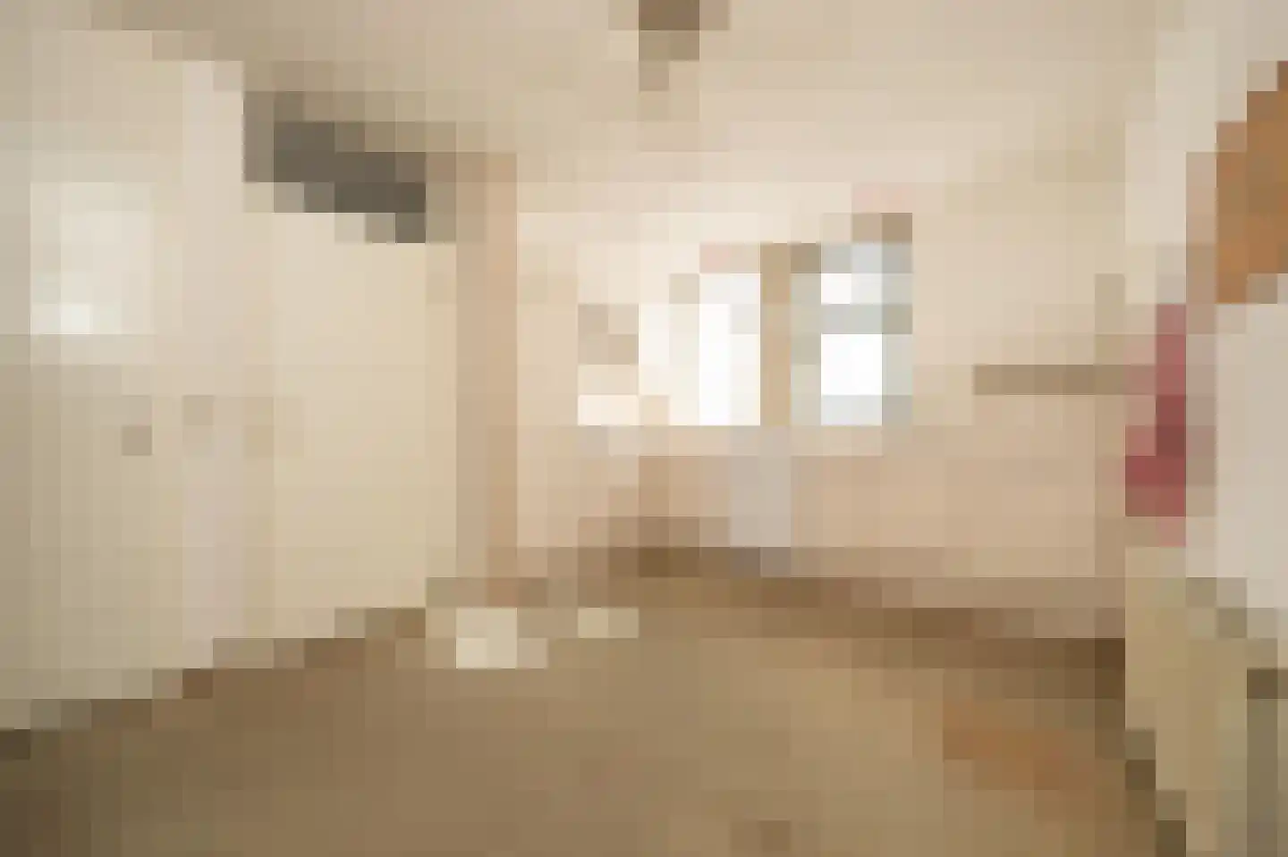 Dijkslag 10 Lopik thumbnail 4