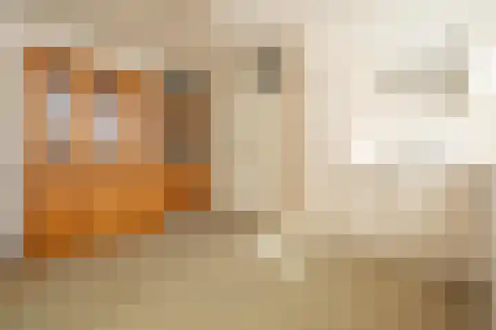 Dijkslag 10 Lopik thumbnail 6