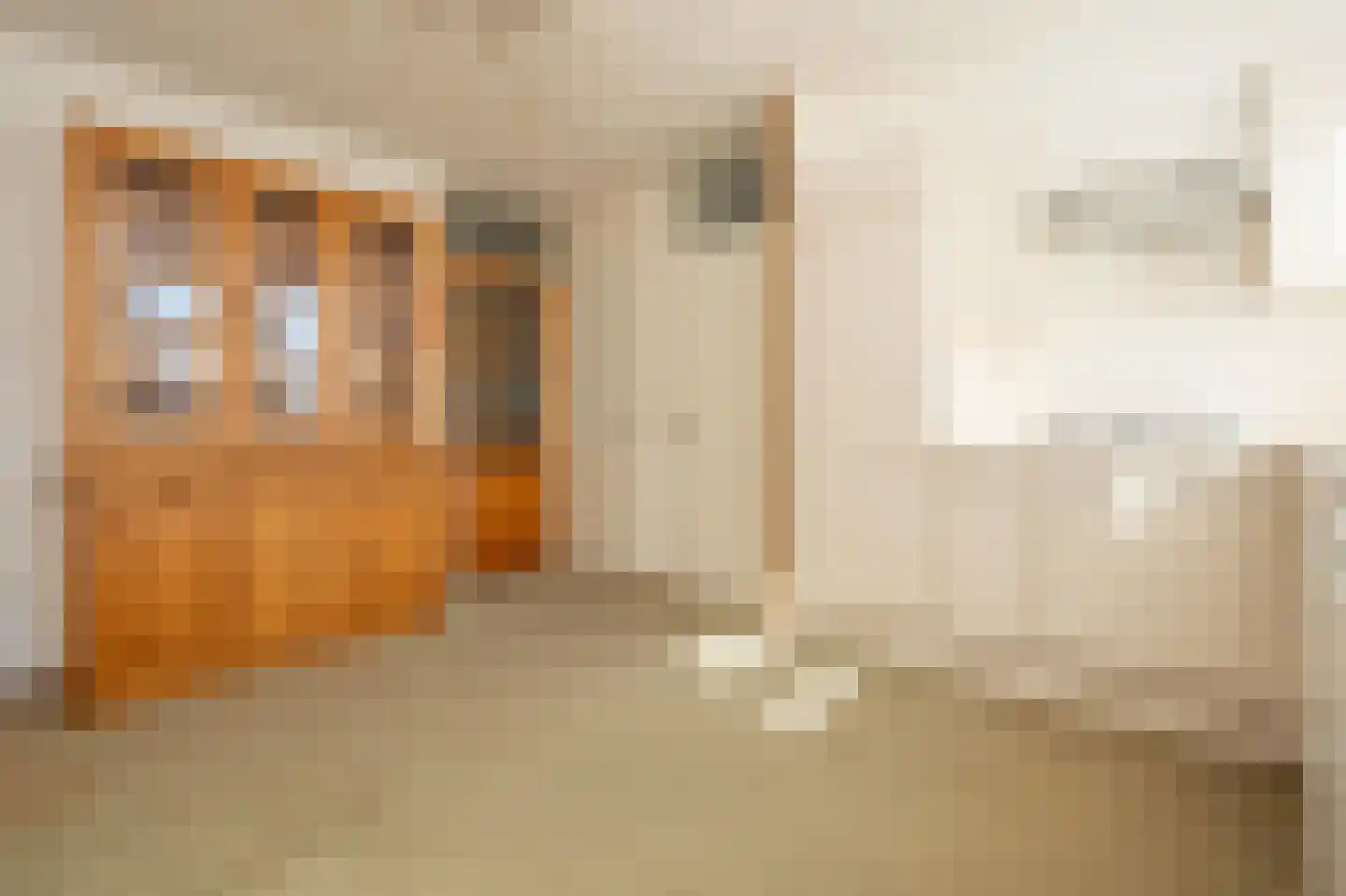 Dijkslag 10 Lopik thumbnail 6