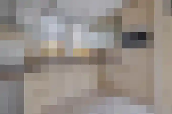 Dijkslag 13 Lopik thumbnail 18