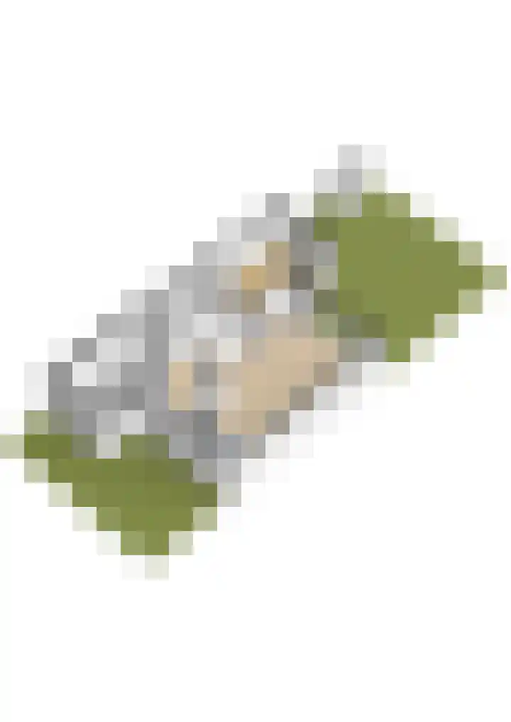 Dijkslag 13 Lopik thumbnail 39