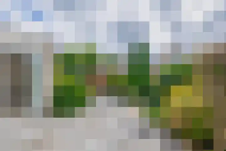 Dijkslag 13 Lopik thumbnail 4