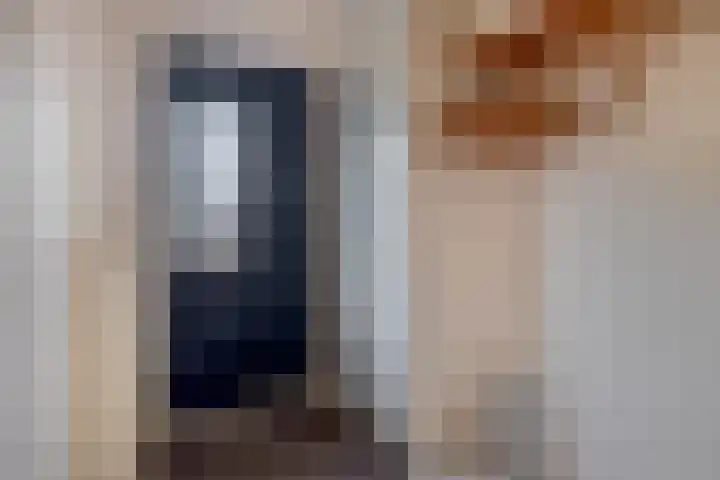 Dijkslag 13 Lopik thumbnail 9