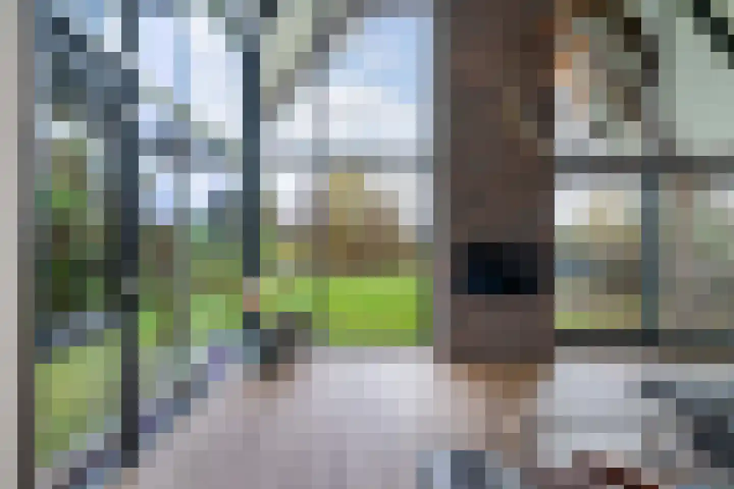 Dijkstalweg 2 A Sint Pancras thumbnail 9