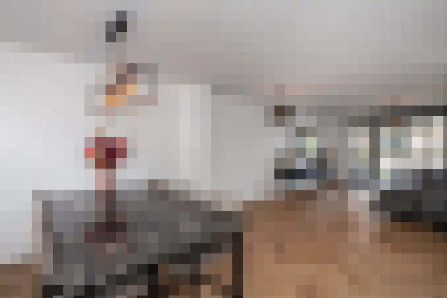 Dijksteeg 14 Vlaardingen thumbnail 18