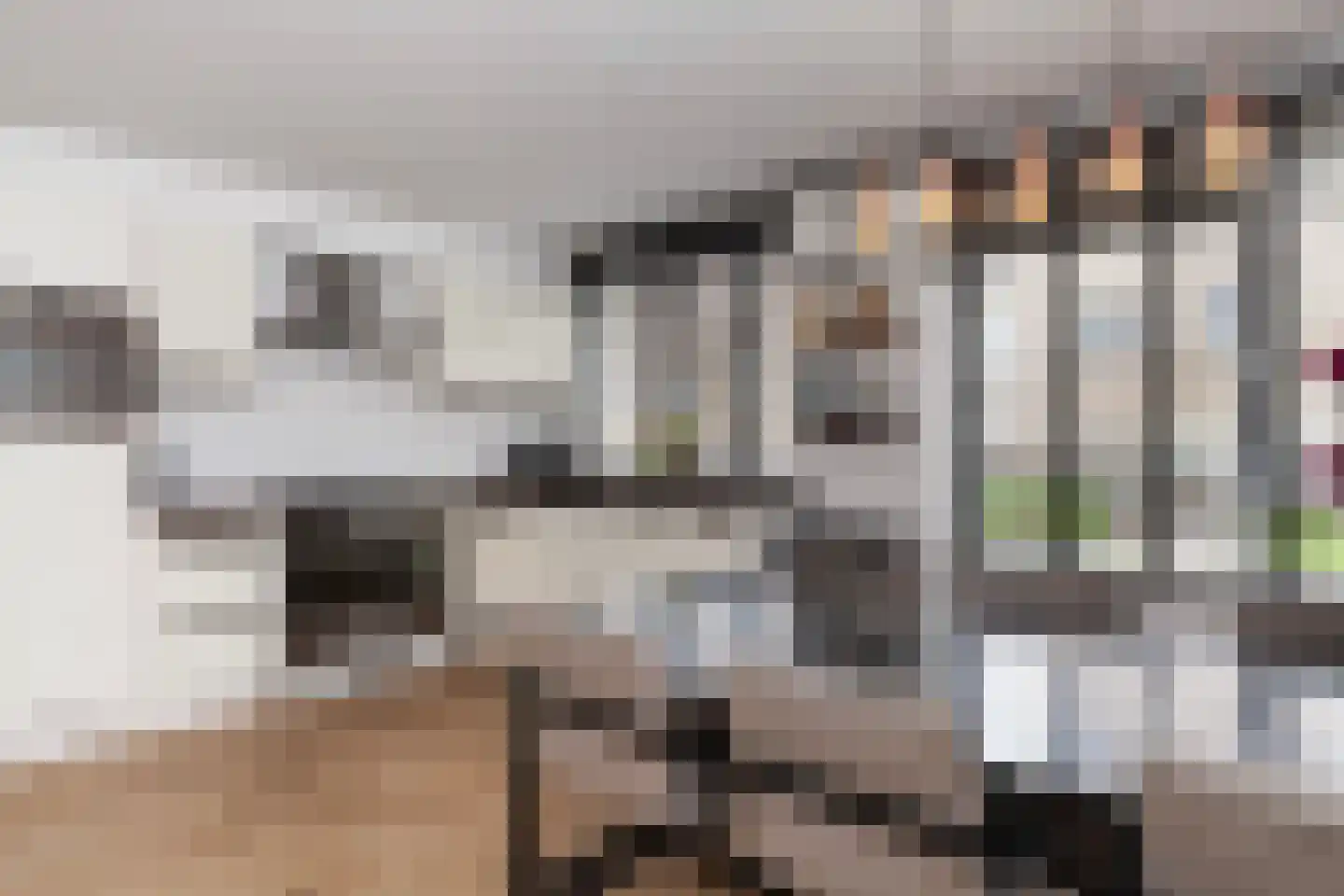 Dijksteeg 14 Vlaardingen thumbnail 20