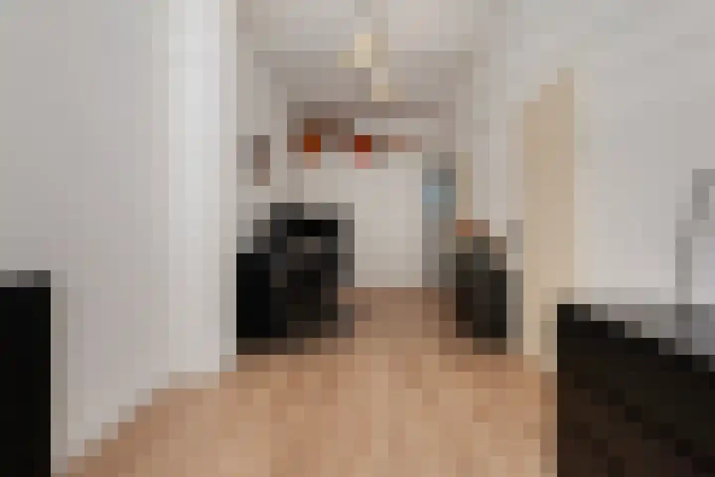 Dijksteeg 14 Vlaardingen thumbnail 8