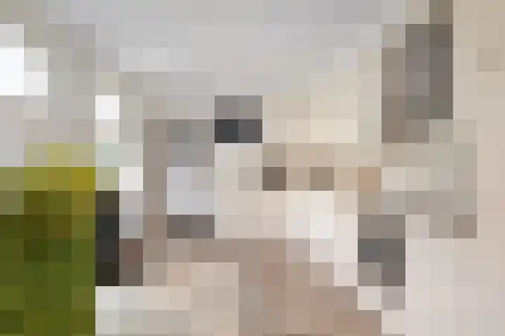 Dijksteegje 30 Sint-Oedenrode thumbnail 10