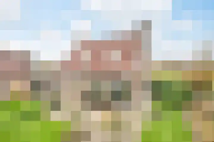 Dijksteegje 30 Sint-Oedenrode thumbnail 4