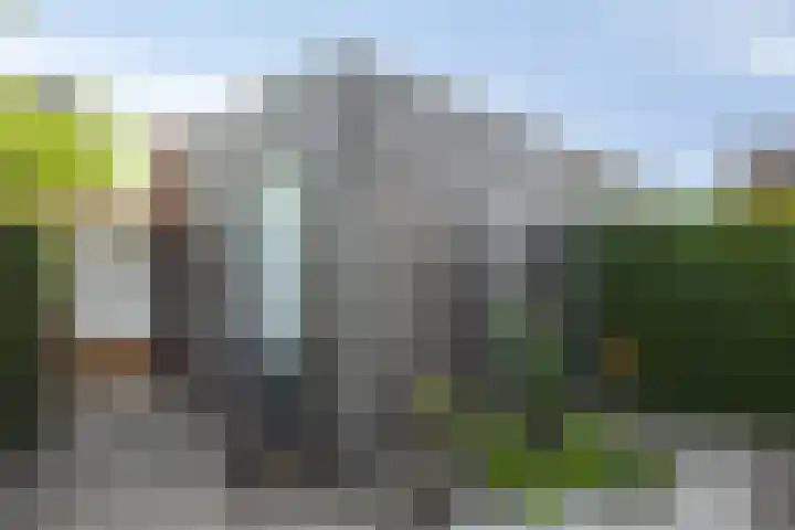 Dijksteegje 8 Sint-Oedenrode thumbnail 23