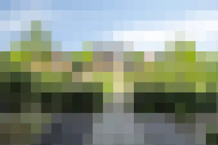 Dijksteegje 8 Sint-Oedenrode thumbnail 25