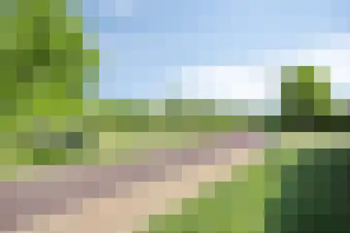 Dijksteegje 8 Sint-Oedenrode thumbnail 26