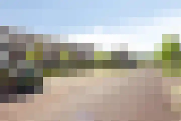 Dijksteegje 8 Sint-Oedenrode thumbnail 28