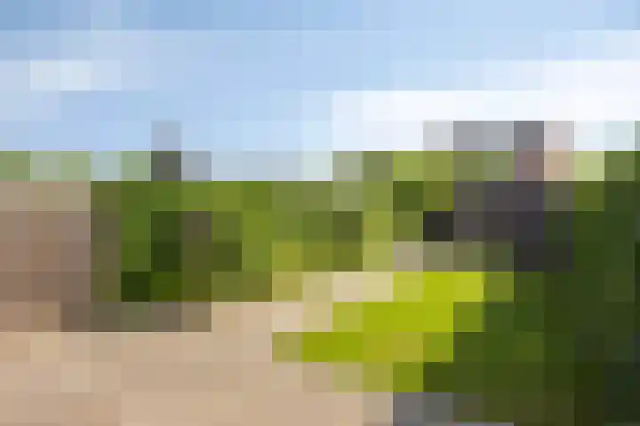 Dijksteegje 8 Sint-Oedenrode thumbnail 4