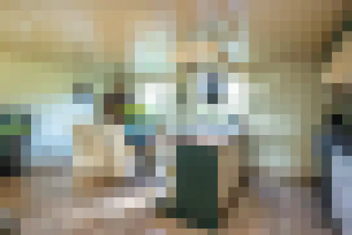 Dijkstelweg 31 Ouddorp thumbnail 19