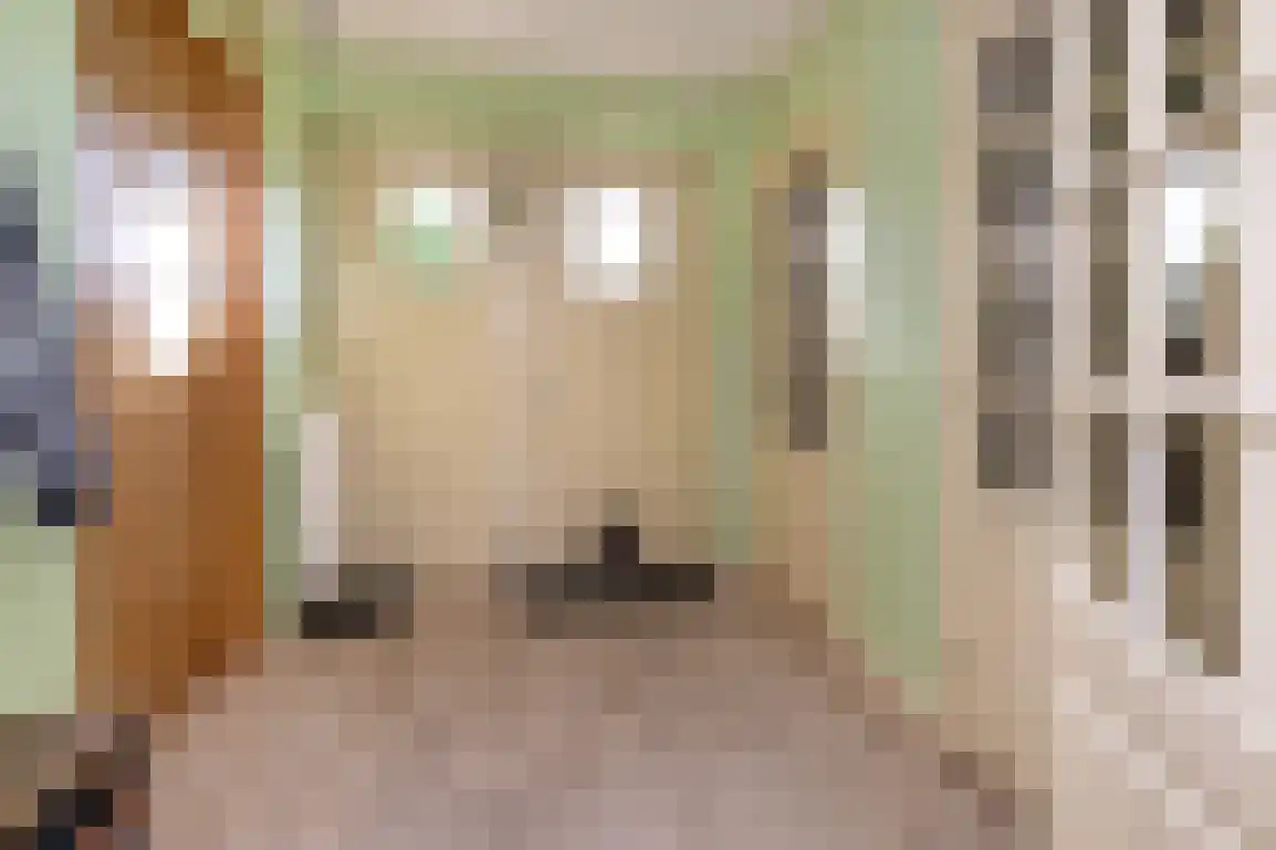 Dijkstelweg 31 Ouddorp thumbnail 23